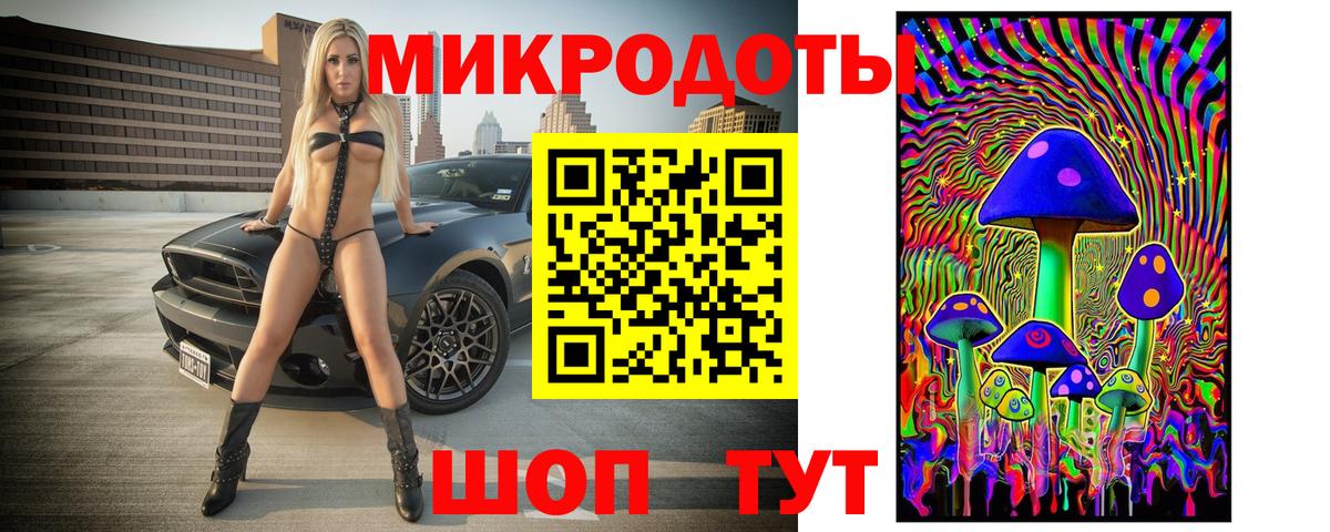 Галлюциногенные грибы Psilocybine cubensis Новомосковск