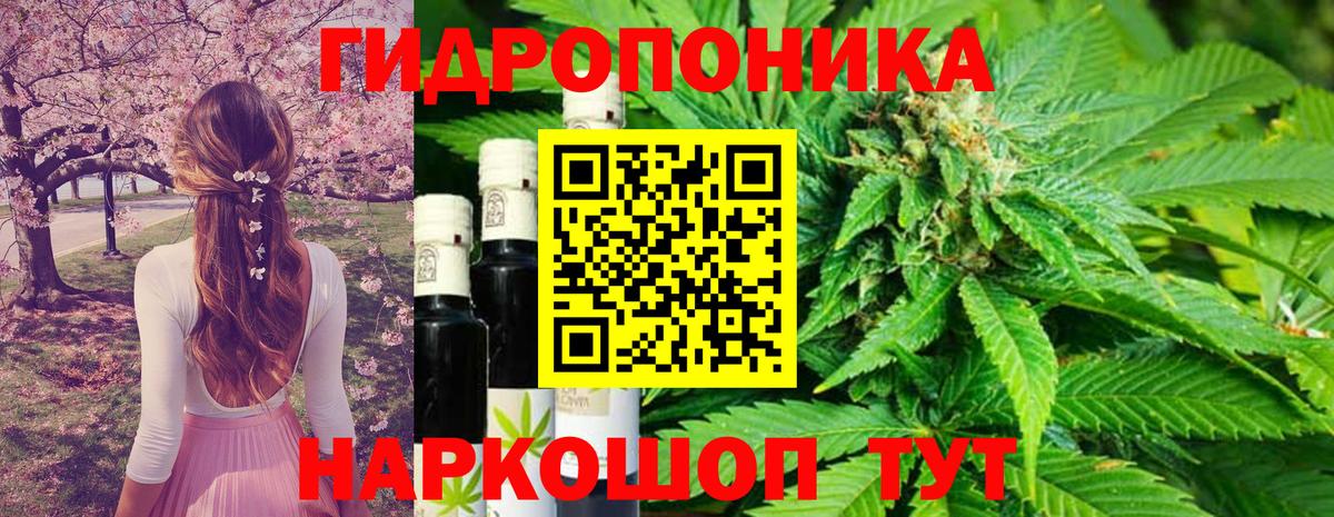 Каннабис Ganja  Вход с VPN  Бошки марихуана Amnesia  Новомосковск  Каннабис OG Kush  Шишки марихуана гибрид 